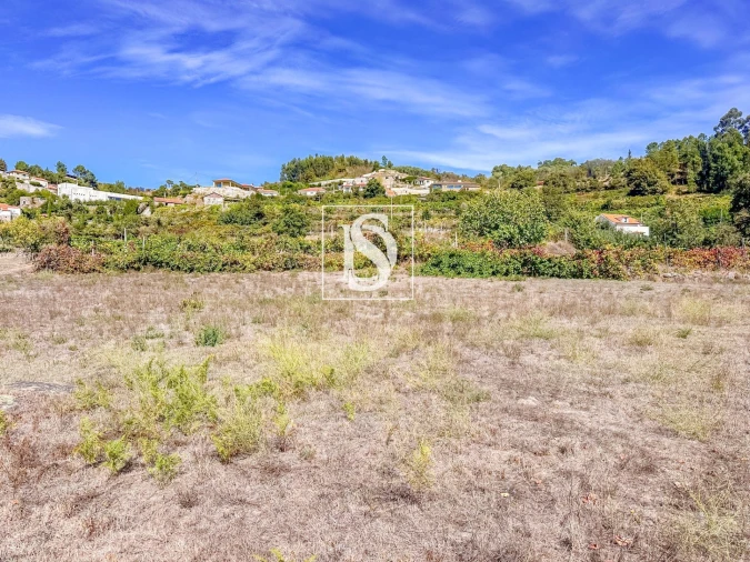 Terreno Agricola ou Rústico para Venda em Baião (Santa Leocádia) e Mesquinhata Foto 21