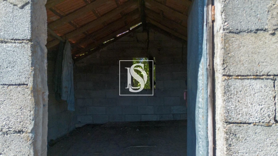 Terreno Agricola ou Rústico para Venda em Baião (Santa Leocádia) e Mesquinhata Foto 33