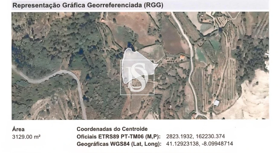 Terreno Agricola ou Rústico para Venda em Baião (Santa Leocádia) e Mesquinhata Foto 37