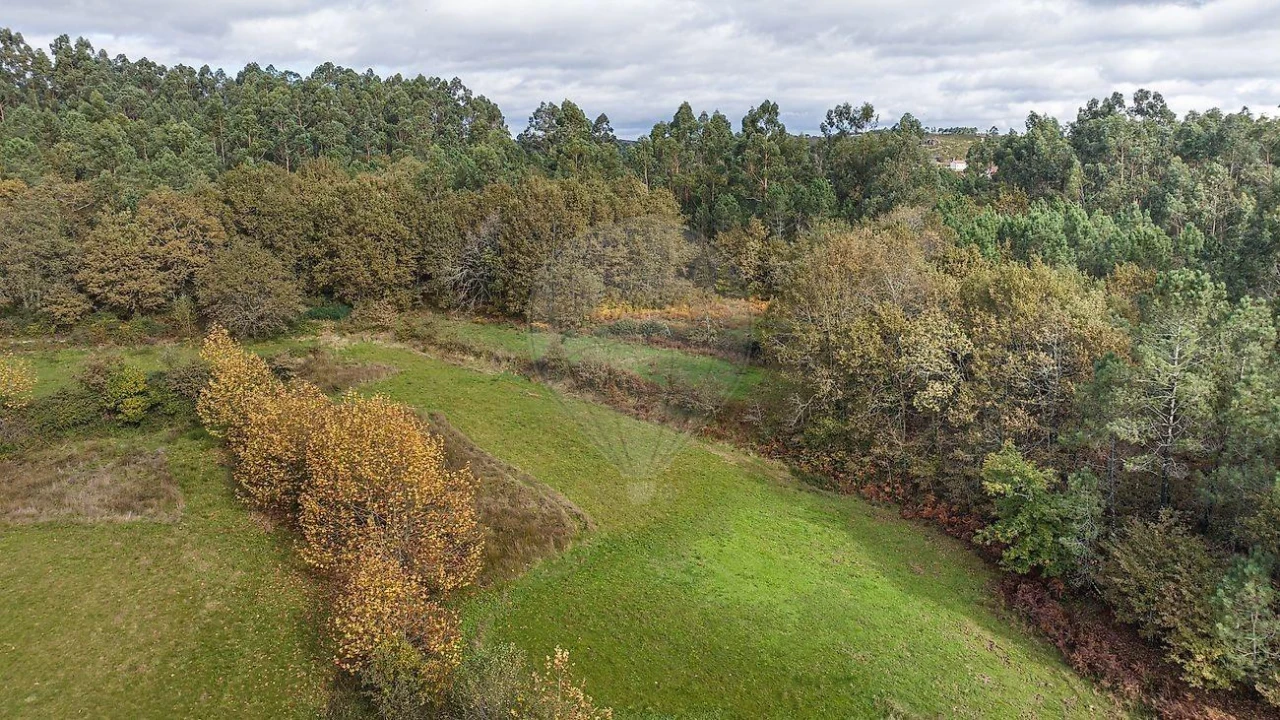 Moradia T4 para Venda em Quinchães Foto 33