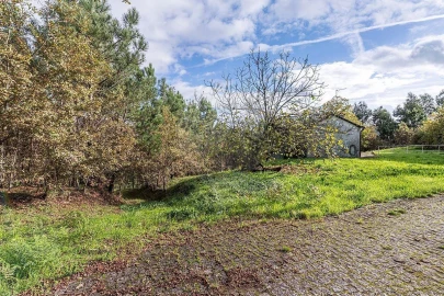 Moradia T4 para Venda em Quinchães