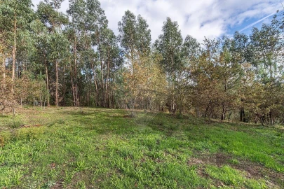 Moradia T4 para Venda em Quinchães