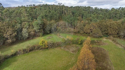 Moradia T4 para Venda em Quinchães