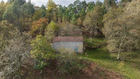 Moradia T4 para Venda em Quinchães