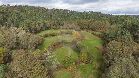 Moradia T4 para Venda em Quinchães