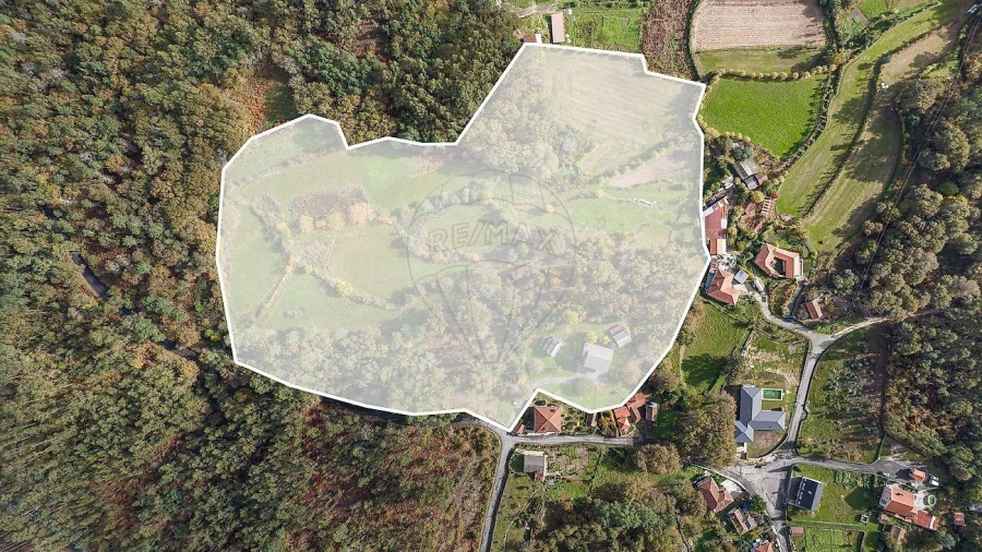 Moradia T4 para Venda em Quinchães Foto 30