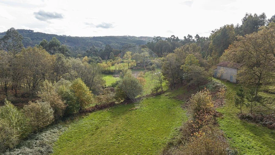 Moradia T4 para Venda em Quinchães Foto 35