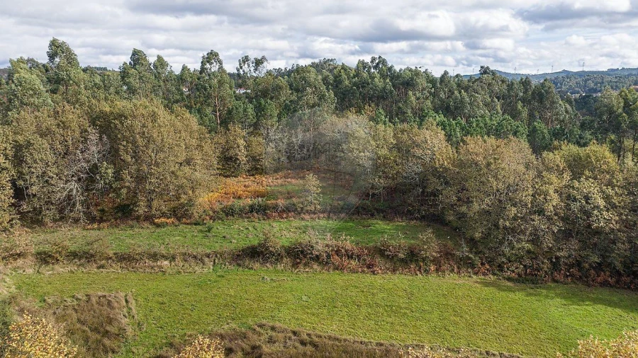 Moradia T4 para Venda em Quinchães Foto 39