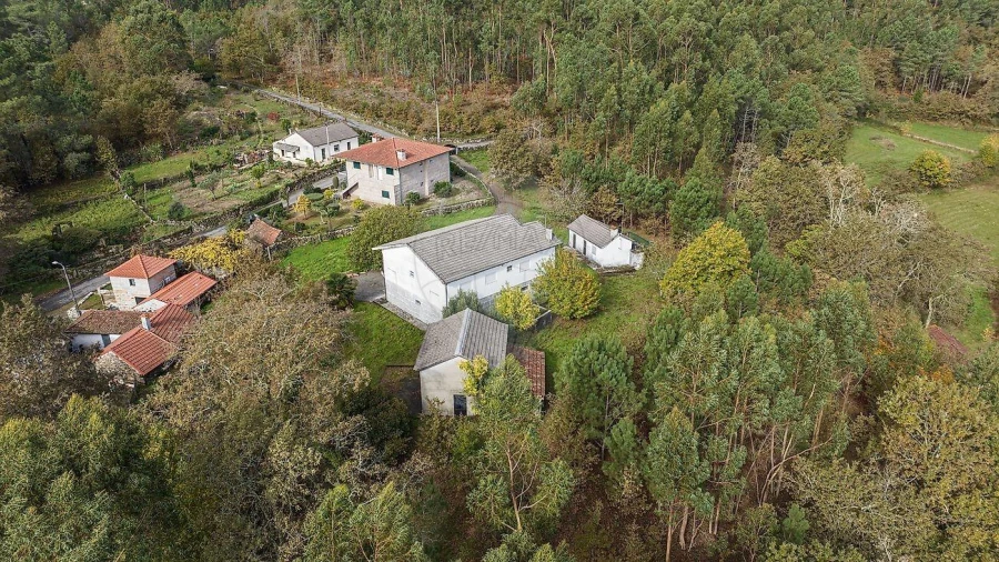 Moradia T4 para Venda em Quinchães Foto 45