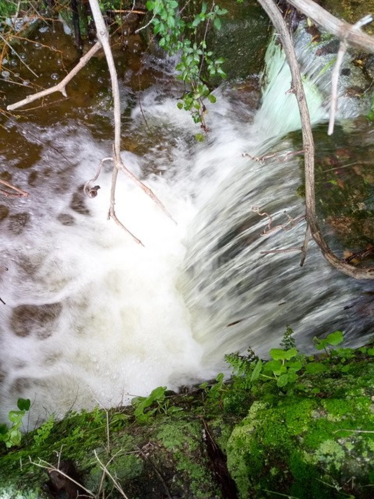 Quinta para Venda em Louriçal do Campo Foto 4