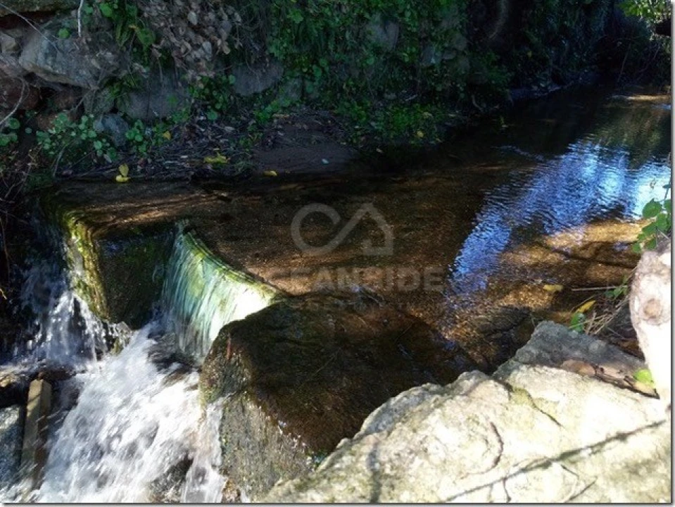 Quinta para Venda em Louriçal do Campo Foto 15
