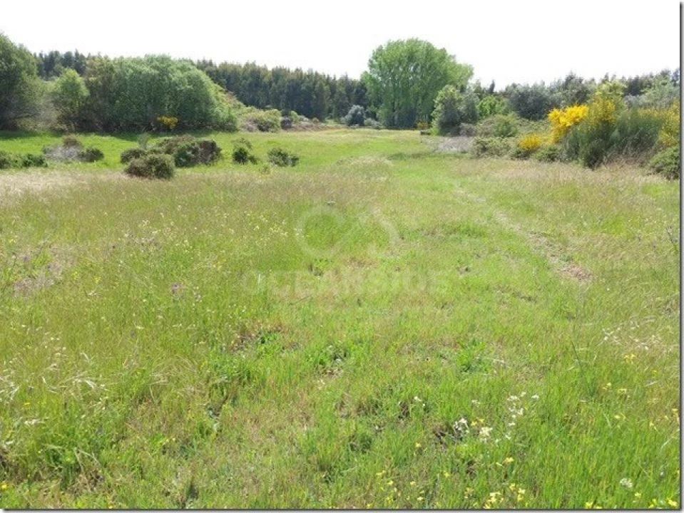 Quinta para Venda em Louriçal do Campo Foto 16
