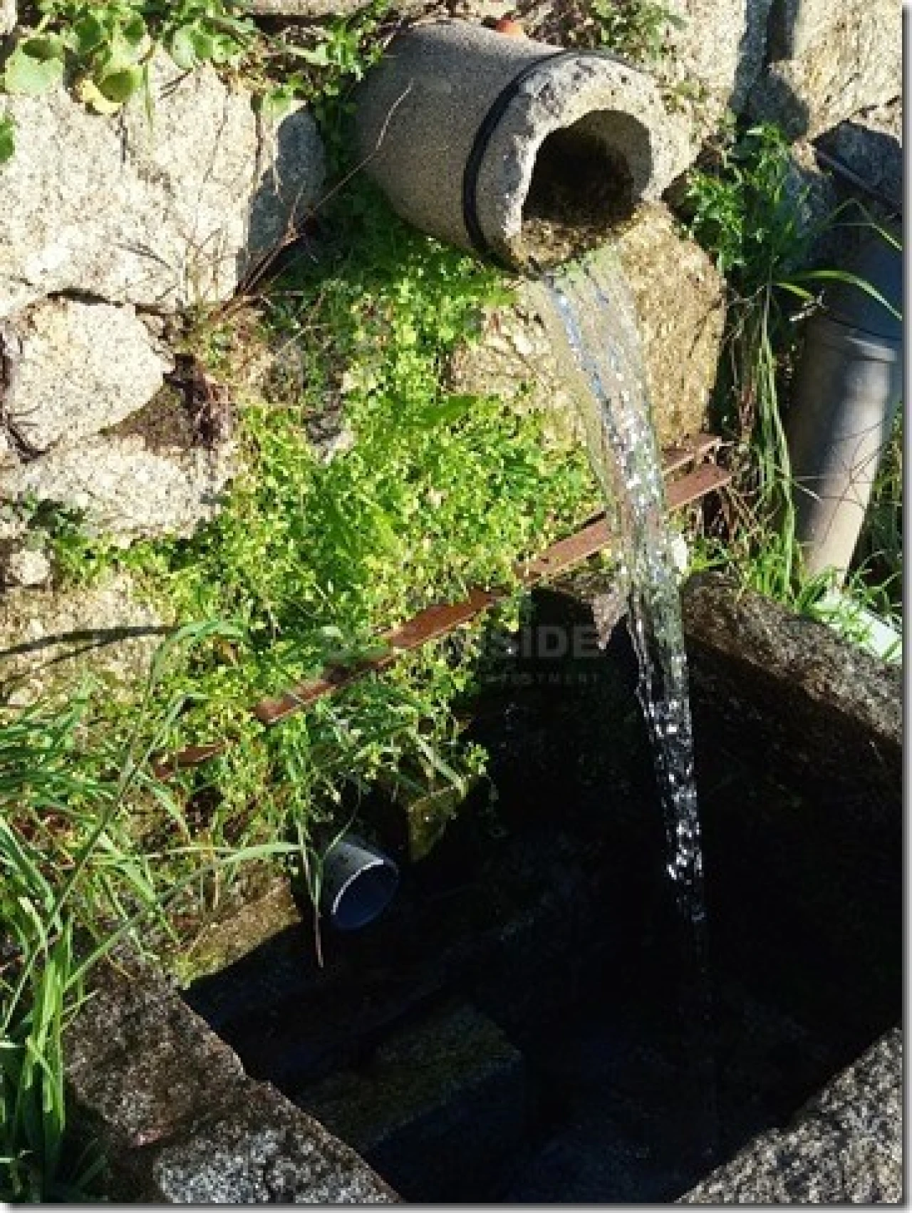 Quinta para Venda em Louriçal do Campo Foto 22