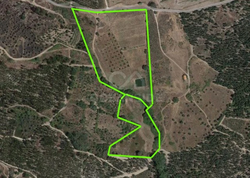 Quinta para Venda em Louriçal do Campo Foto 34