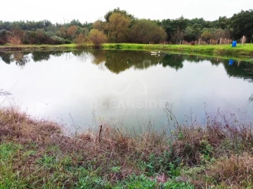 Quinta para Venda em Louriçal do Campo