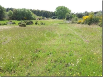 Quinta para Venda em Louriçal do Campo