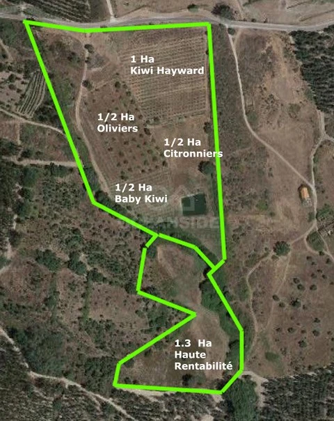 Quinta para Venda em Louriçal do Campo