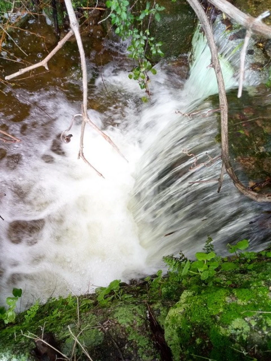 Quinta para Venda em Louriçal do Campo Foto 4