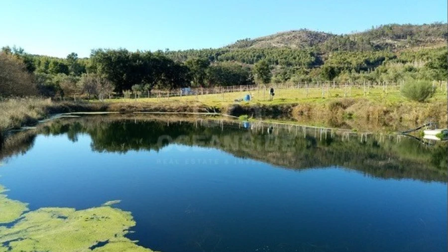 Quinta para Venda em Louriçal do Campo