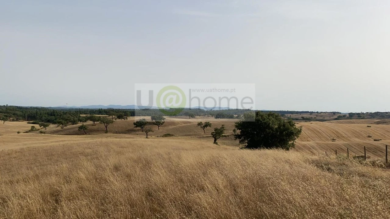 Terreno para Venda em Santiago do Cacém, Santa Cruz e São Bartolomeu da Serra Foto 3