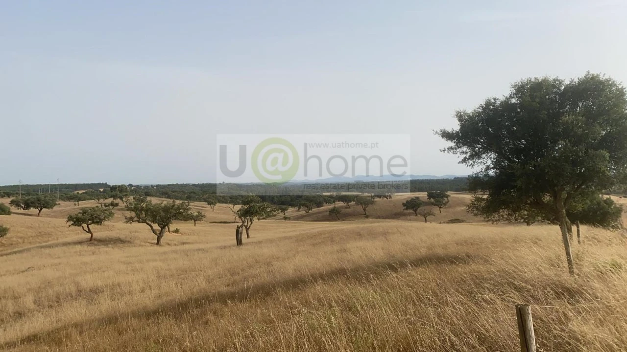 Terreno para Venda em Santiago do Cacém, Santa Cruz e São Bartolomeu da Serra Foto 4