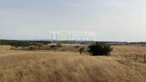 Terreno para Venda em Santiago do Cacém, Santa Cruz e São Bartolomeu da Serra