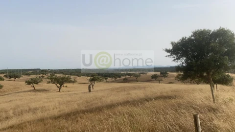 Terreno para Venda em Santiago do Cacém, Santa Cruz e São Bartolomeu da Serra