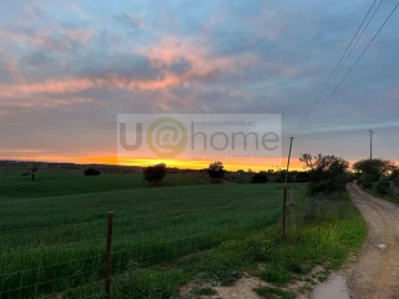 Terreno para Venda em Santiago do Cacém, Santa Cruz e São Bartolomeu da Serra