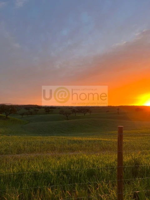 Terreno para Venda em Santiago do Cacém, Santa Cruz e São Bartolomeu da Serra