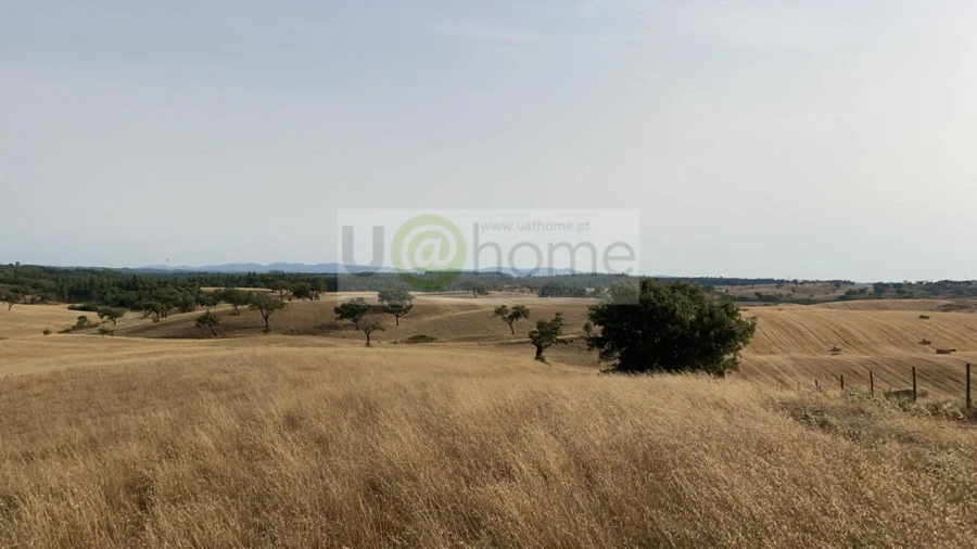 Terreno para Venda em Santiago do Cacém, Santa Cruz e São Bartolomeu da Serra Foto 3