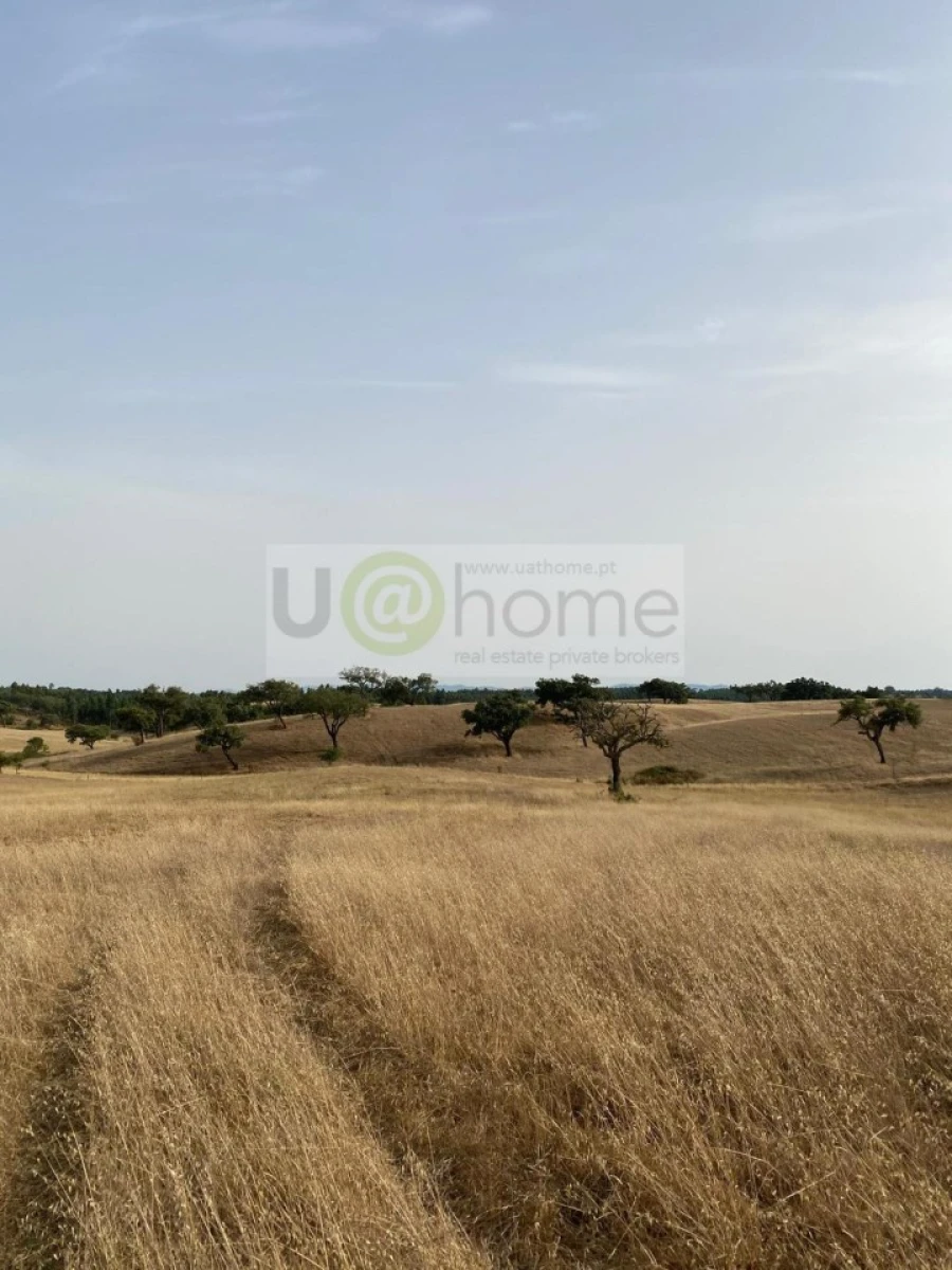 Terreno para Venda em Santiago do Cacém, Santa Cruz e São Bartolomeu da Serra Foto 5