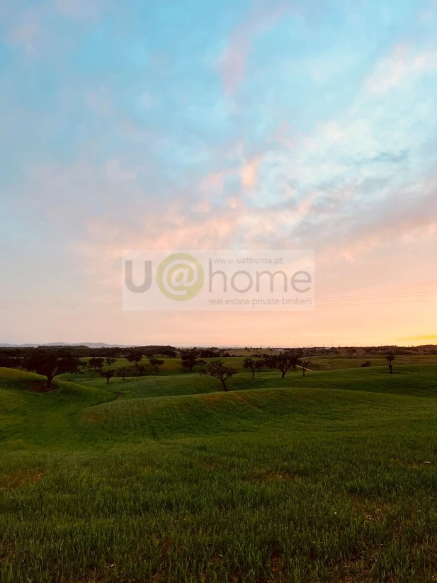 Terreno para Venda em Santiago do Cacém, Santa Cruz e São Bartolomeu da Serra Foto 8