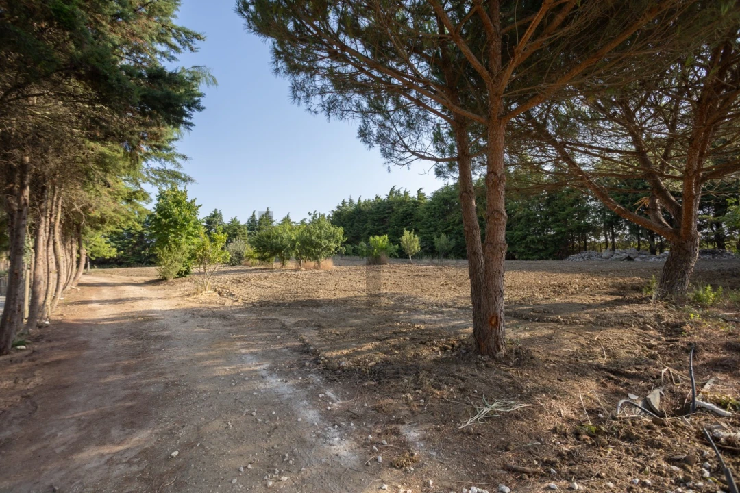 Quinta T4 para Venda em Aldeia Galega da Merceana e Aldeia Gavinha Foto 7