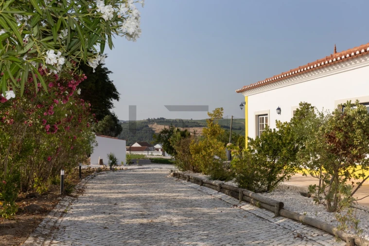 Quinta T4 para Venda em Aldeia Galega da Merceana e Aldeia Gavinha Foto 13