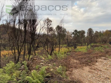 Quinta para Venda em Lavacolhos