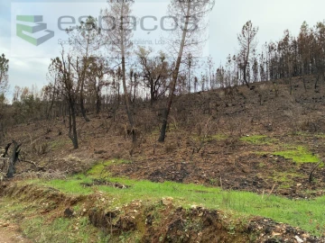 Quinta para Venda em Lavacolhos