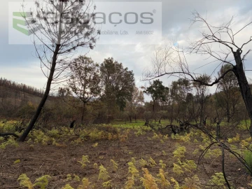 Quinta para Venda em Lavacolhos
