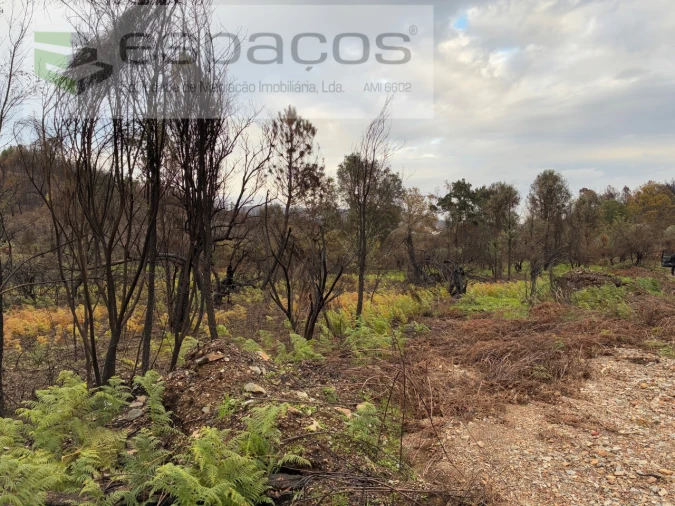 Quinta para Venda em Lavacolhos Foto 6