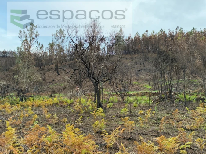 Quinta para Venda em Lavacolhos Foto 9