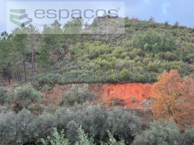 Quinta para Venda em Lavacolhos Foto 3