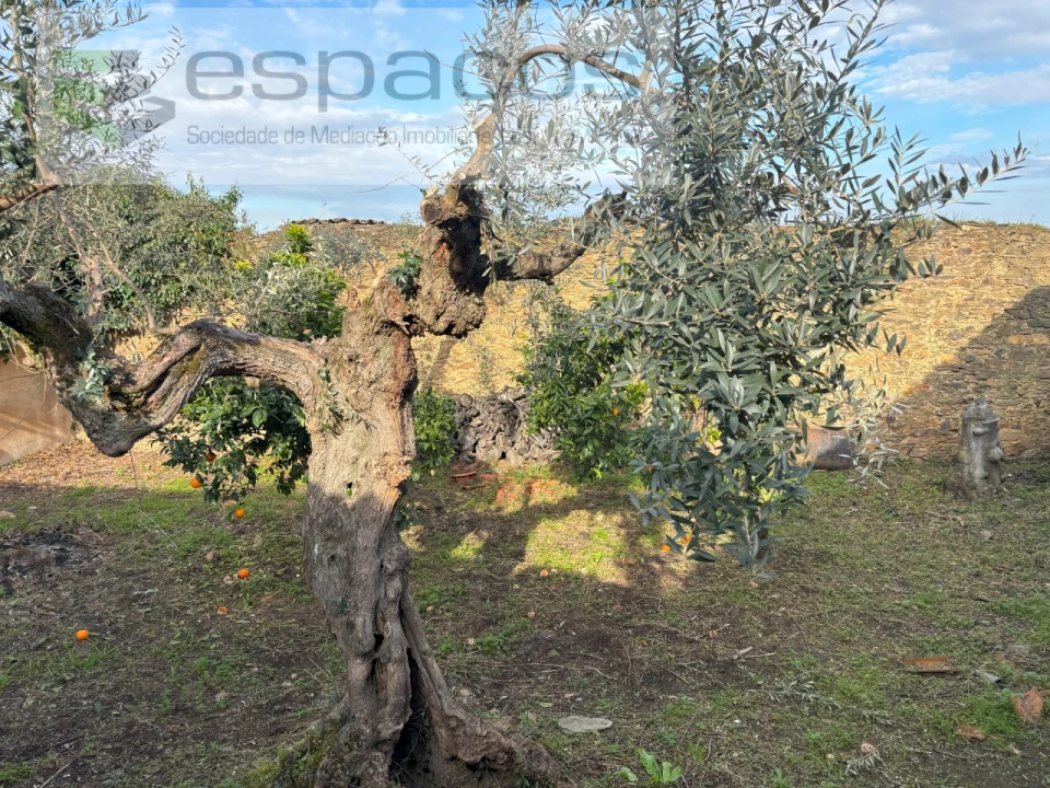 Moradia para Venda em Vila Velha de Rodão Foto 6