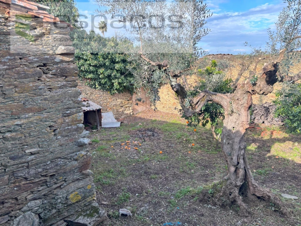 Moradia para Venda em Vila Velha de Rodão Foto 1