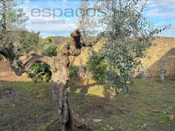 Moradia para Venda em Vila Velha de Rodão