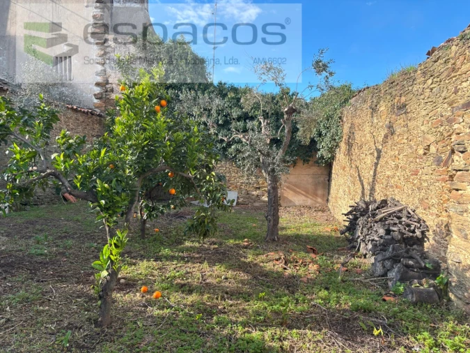 Moradia para Venda em Vila Velha de Rodão Foto 4