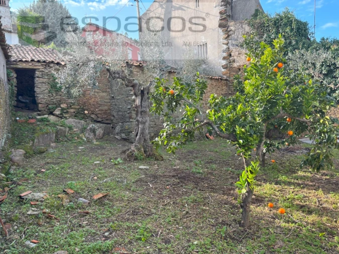 Moradia para Venda em Vila Velha de Rodão Foto 3