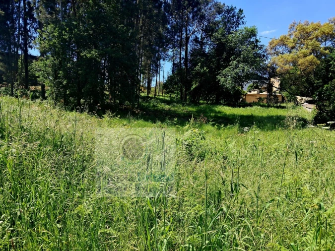 Terreno para Venda em Cete Foto 2