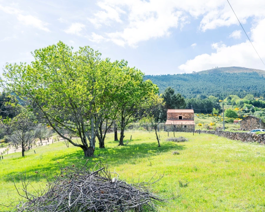 Moradia T2 para Venda em Unhais da Serra Foto 20