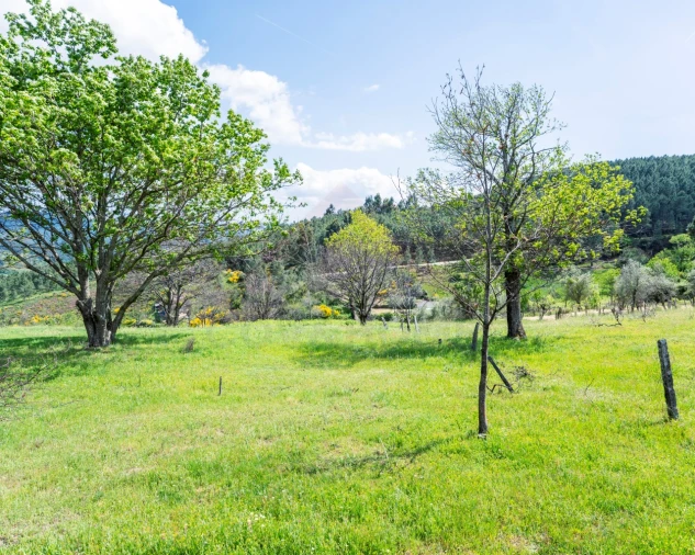 Moradia T2 para Venda em Unhais da Serra Foto 16