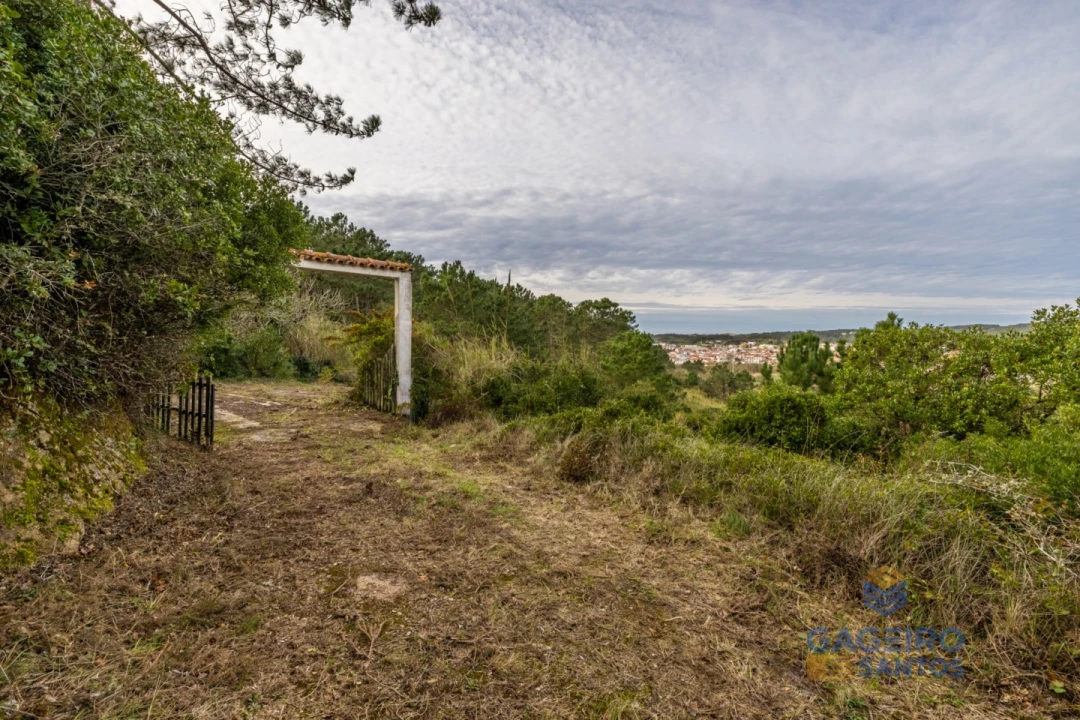 Moradia T1 para Venda em Foz do Arelho Foto 4