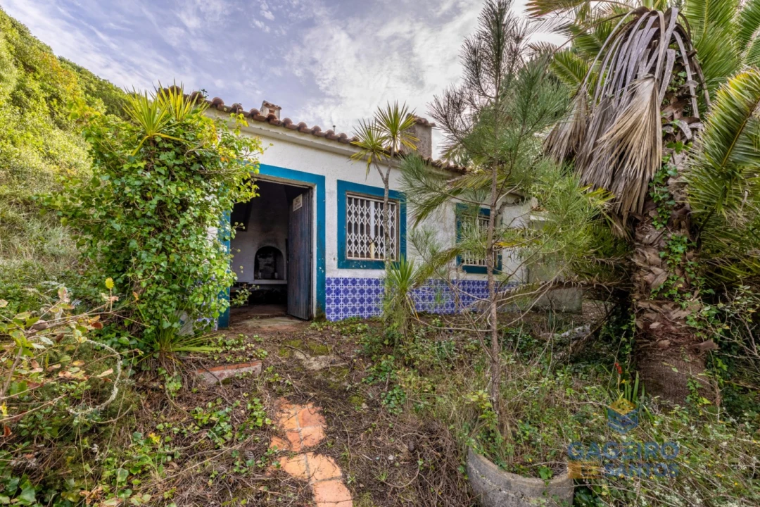 Moradia T1 para Venda em Foz do Arelho Foto 5